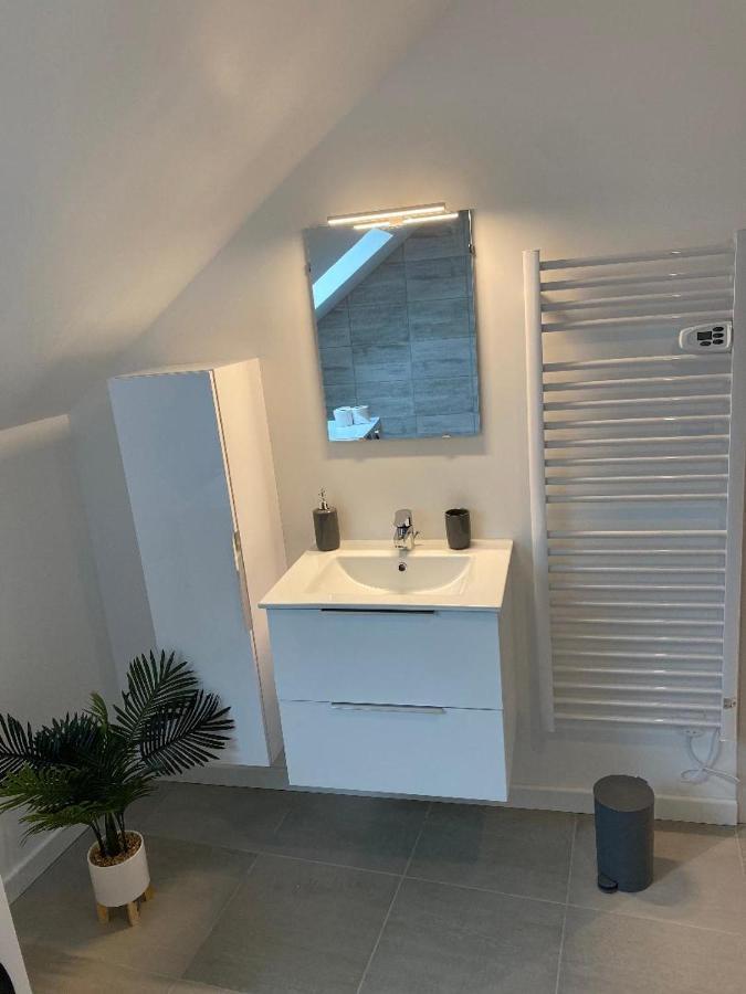 APPARTEMENT CHALEUREUX Wifi et parking gratuit Givet Eksteriør bilde